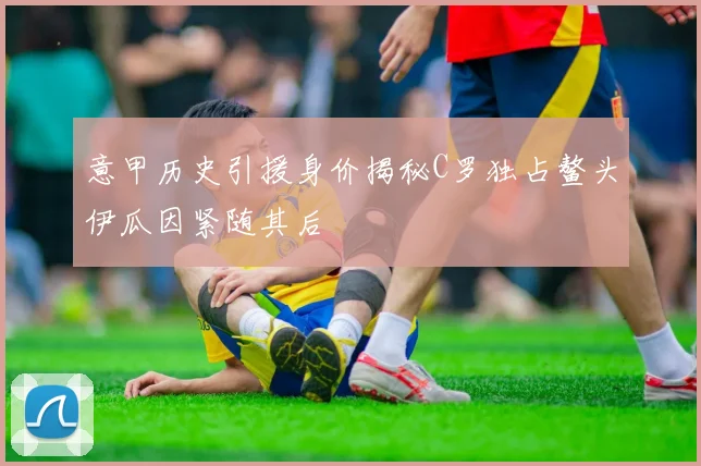 意甲历史引援身价揭秘C罗独占鳌头伊瓜因紧随其后